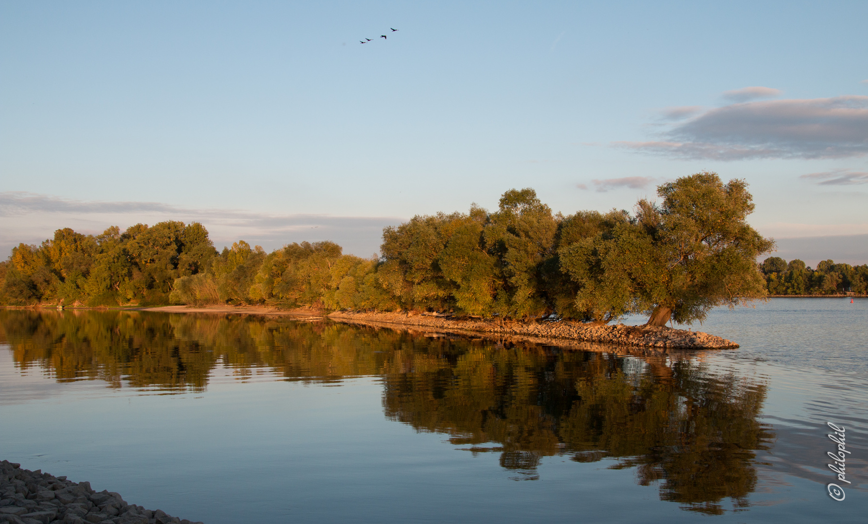 Insel im Rhein