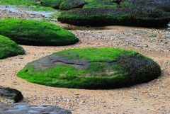 Insel im Sand