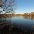 Insel im Schapenbruchteich