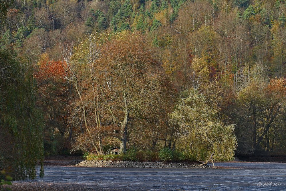 Insel im Schlamm