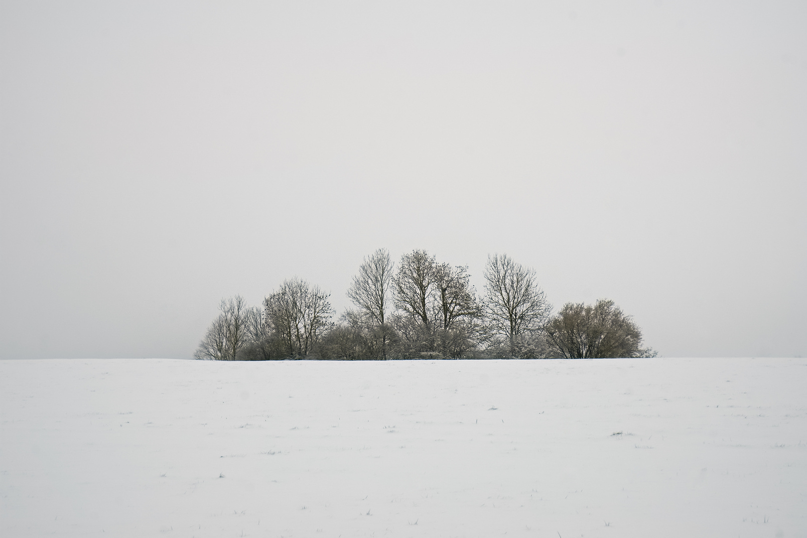 Insel im Schnee