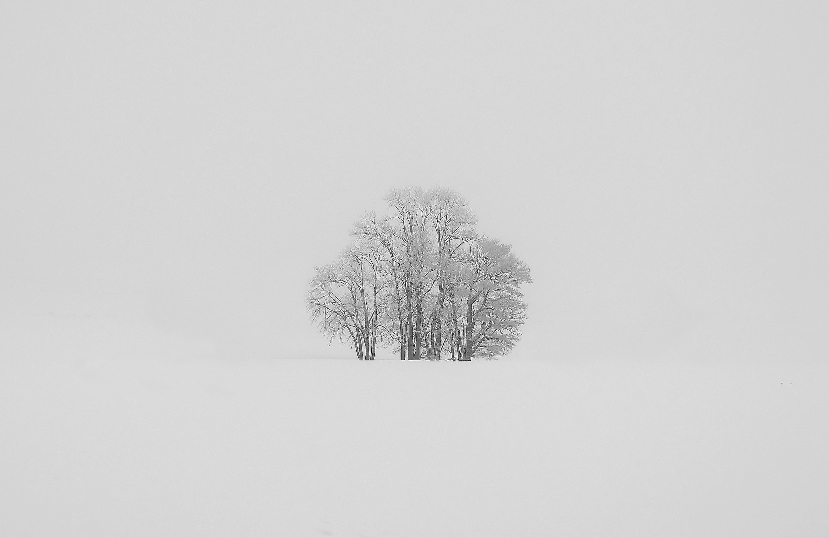 Insel im Schnee