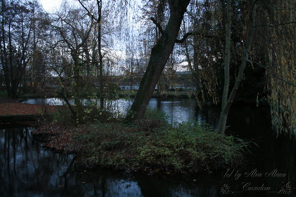 Insel im See