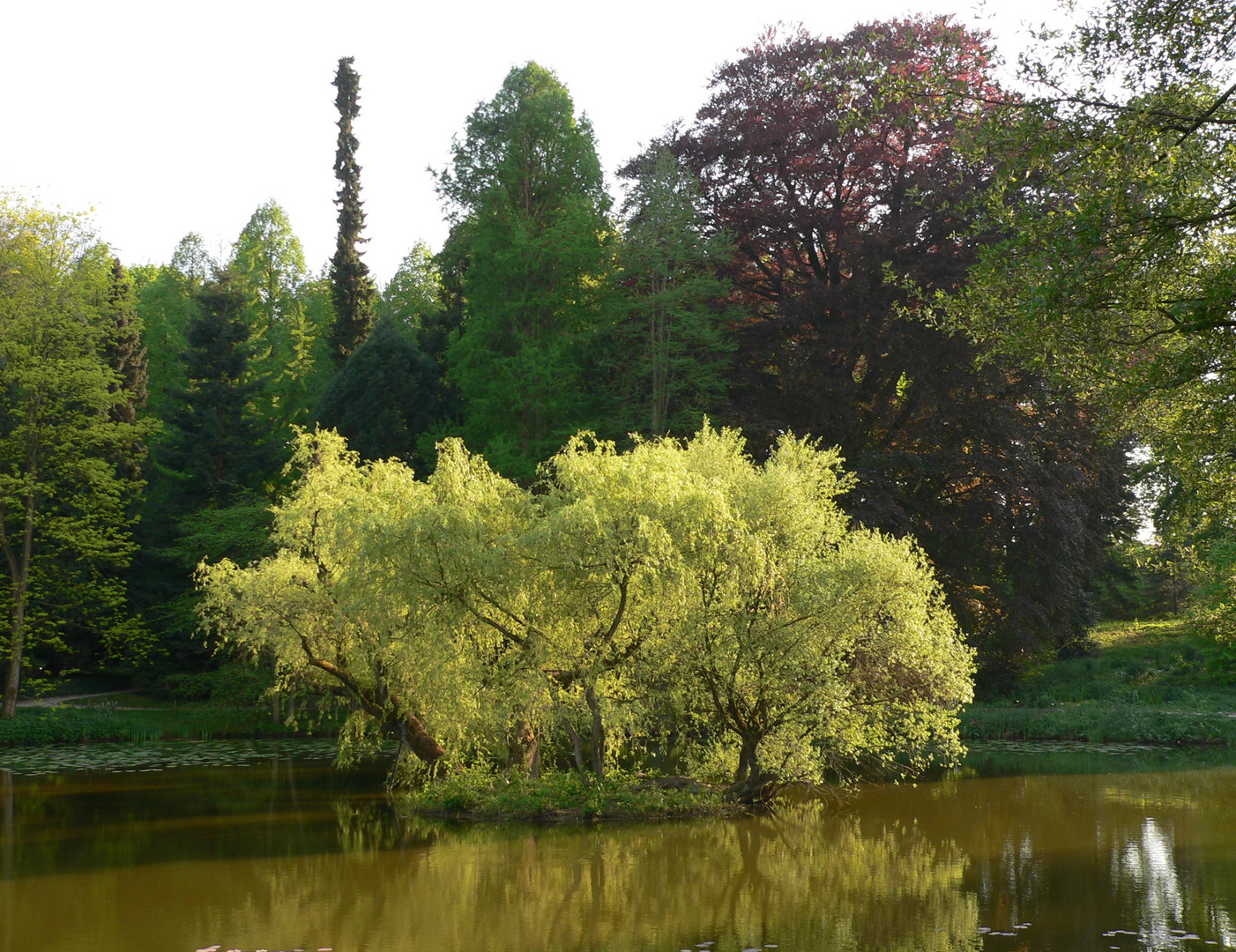 Insel im See