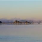 Insel im Senftenberger See