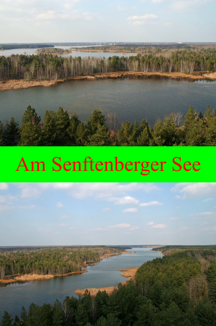 Insel im Senftenberger See