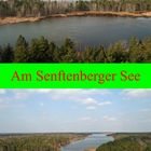 Insel im Senftenberger See