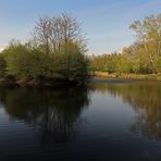 Insel im Spiegelteich