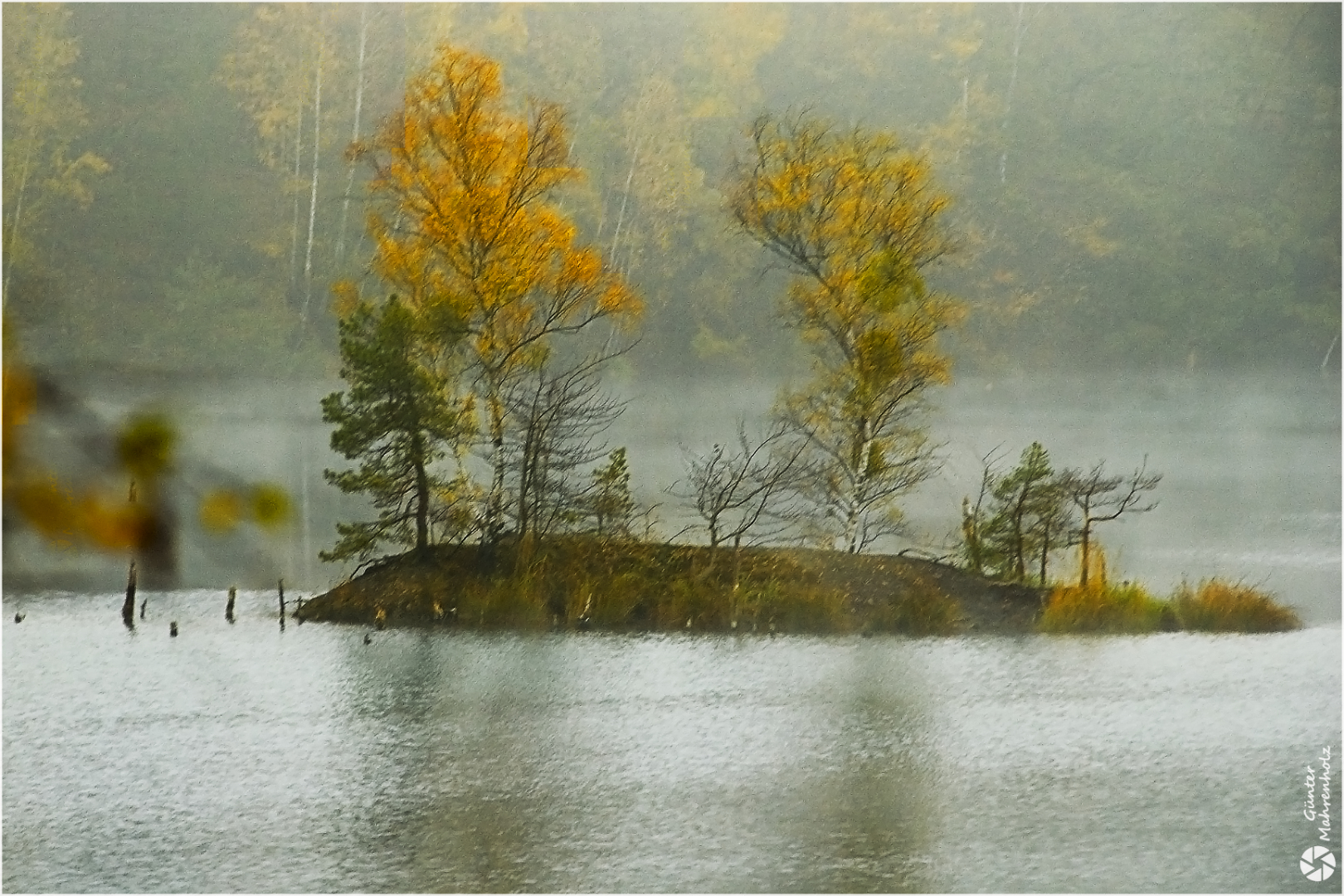 Insel im Steinbruchsee