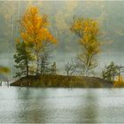 Insel im Steinbruchsee