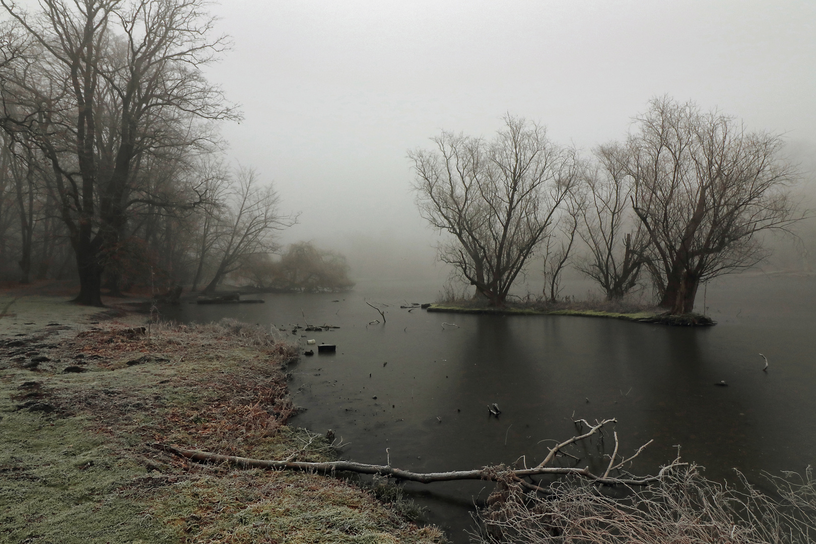 Insel im Teich Foto & Bild park, dezember, landschaften Bilder auf