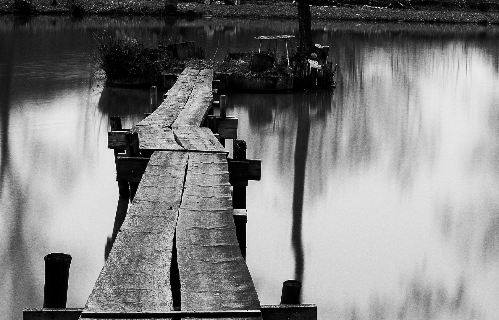 Insel im Teich