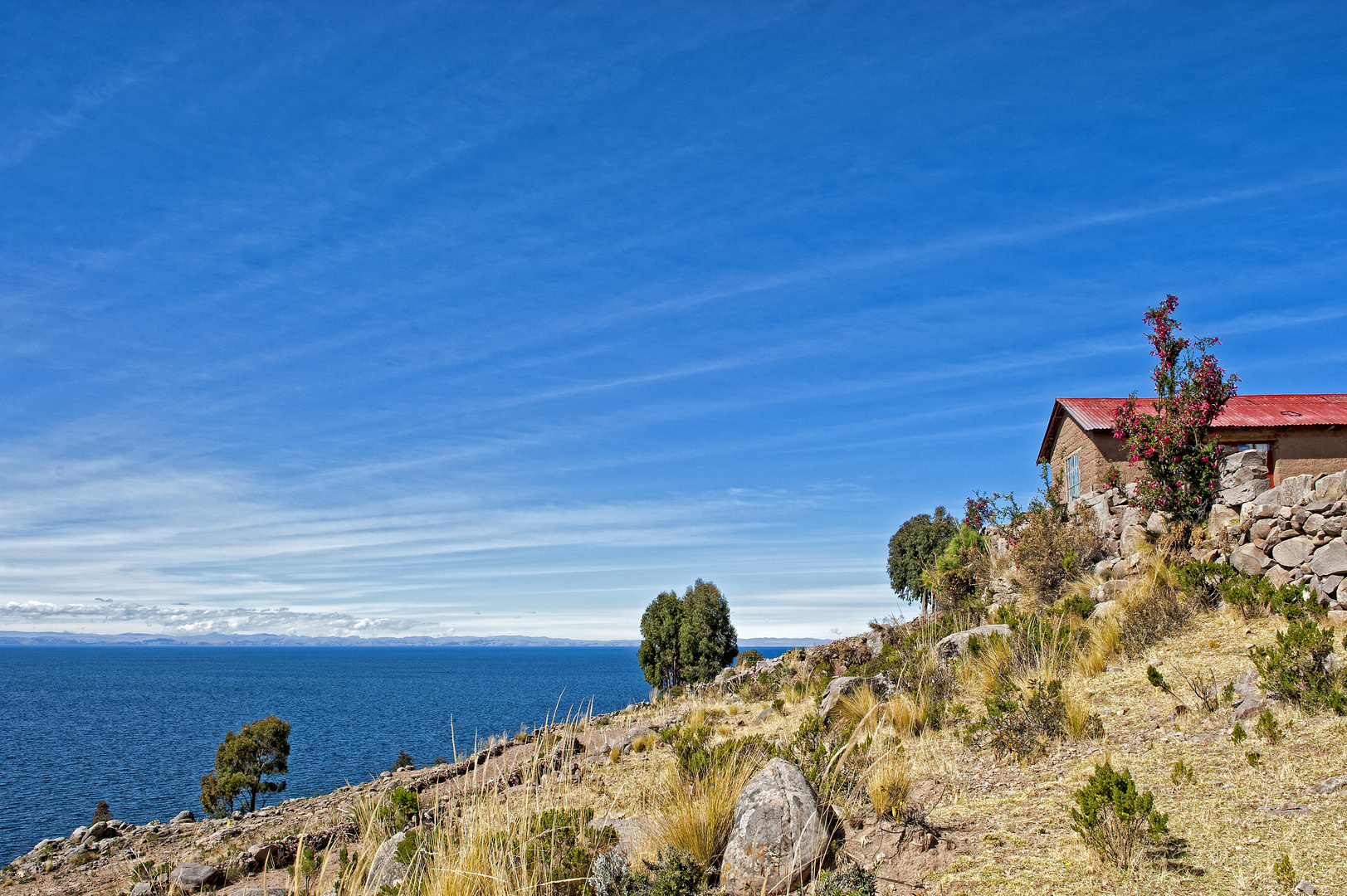 Insel im Titicacasee
