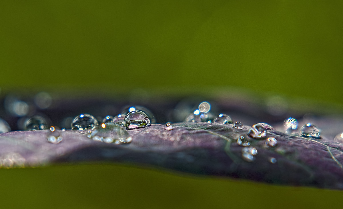 Insel im Wassertropfen