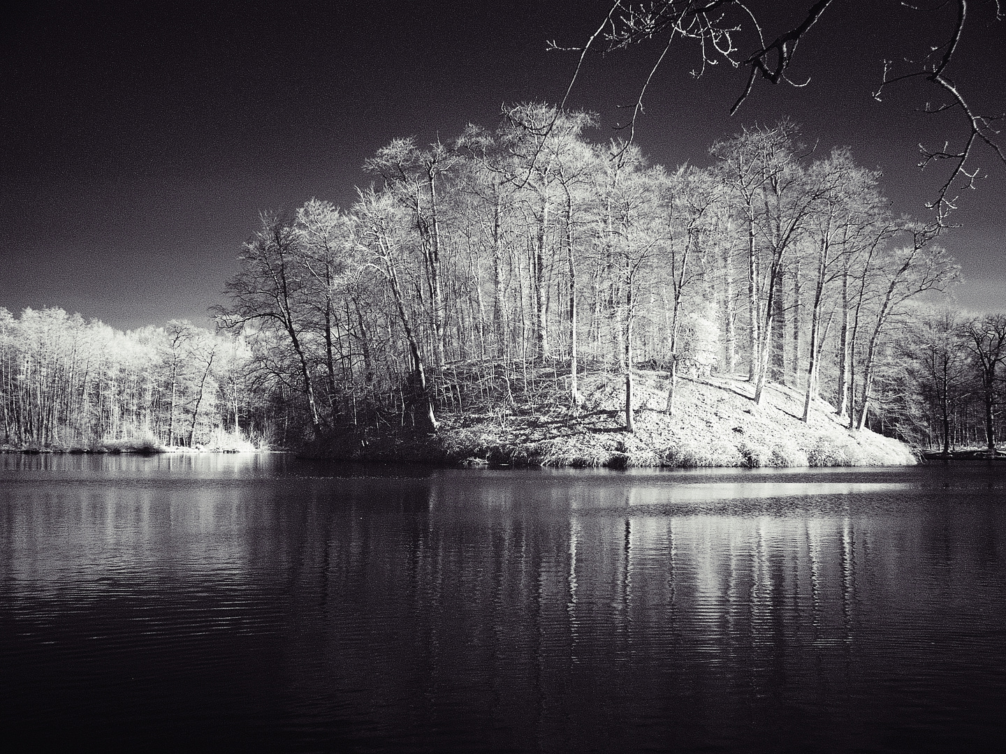 Insel im Weiher