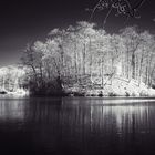 Insel im Weiher