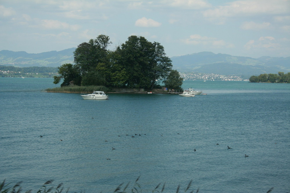 insel im zürisee