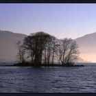 Insel im Zugersee