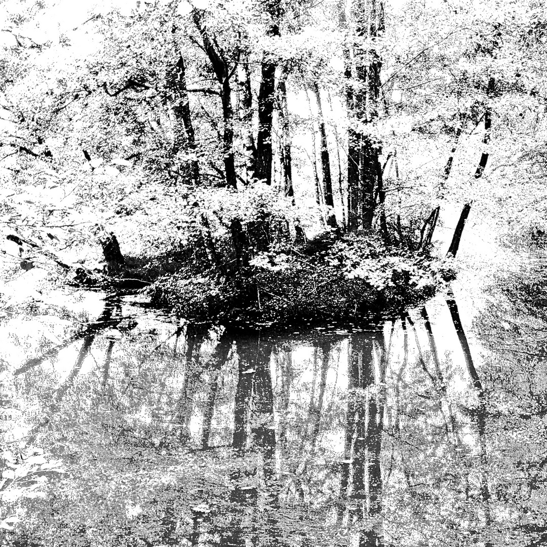 Insel in einem Oberpfälzer Weiher