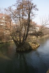 Insel in Flußlauf der Pegnitz