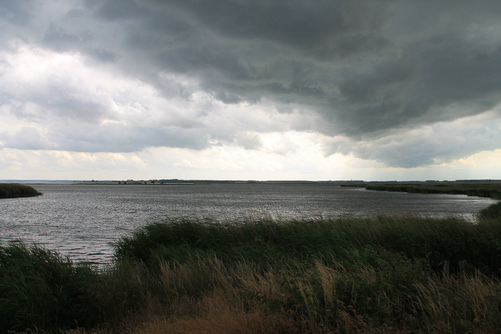 Insel Koos -Blick auf die Hansestadt Greifswald-