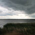 Insel Koos -Blick auf die Hansestadt Greifswald-