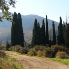 Insel Korfu Wanderweg zum Pantokrator