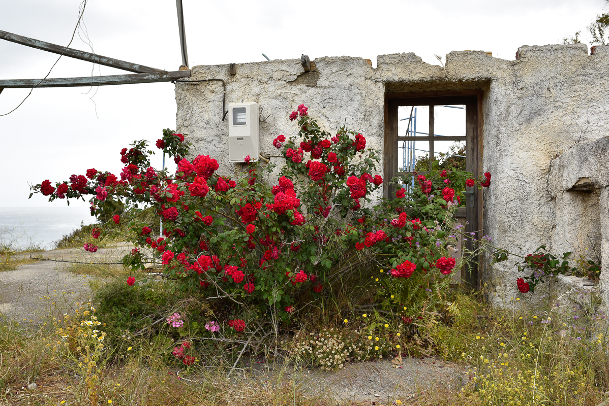 Insel Kreta