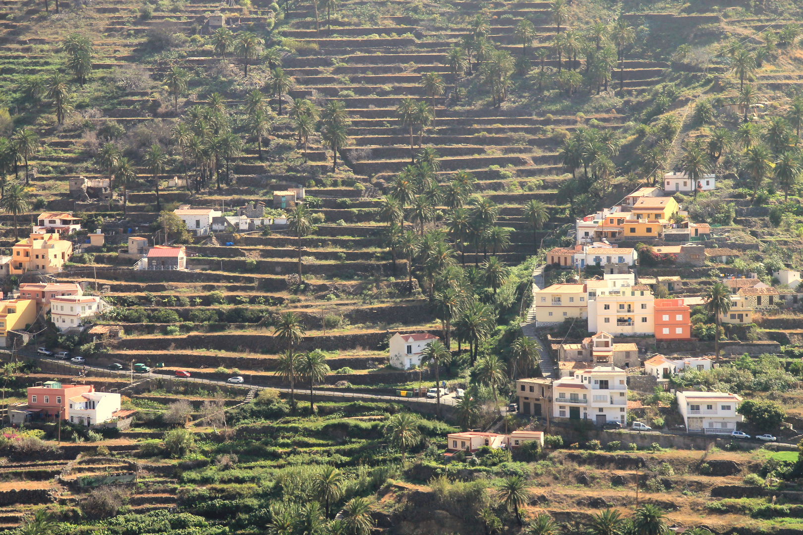 Insel La Gomera (E) -Bergdorf-