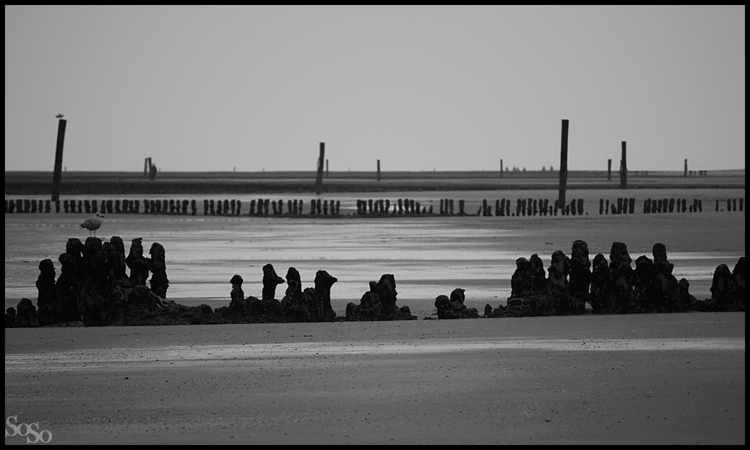 Insel Langeoog