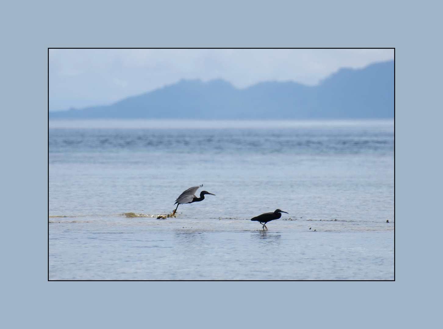 Insel Lelei, Indonesien