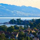 Insel Lindau am Abend