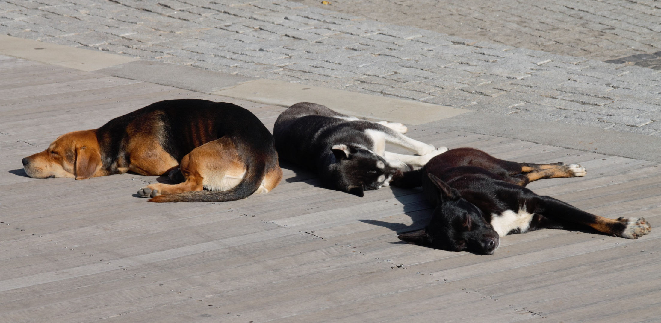 Insel Madeira ( P )  -Entspannung pur-