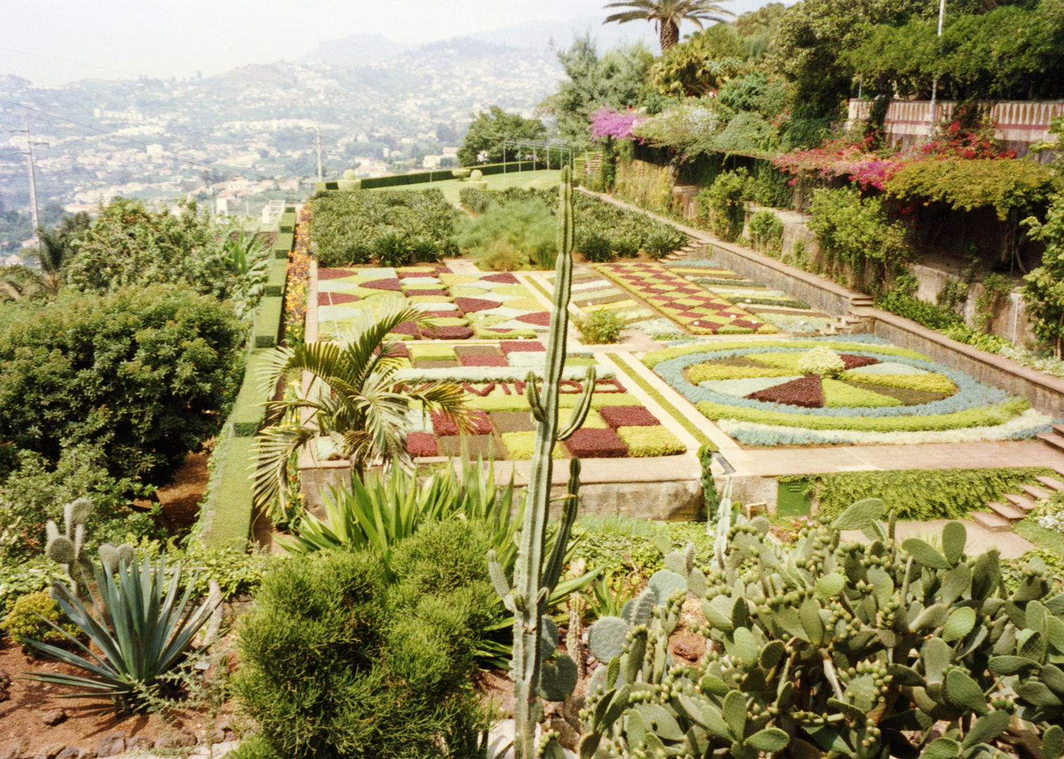 Insel Madeira-Portugal/Botanischer Garten,  Nr. 2/5