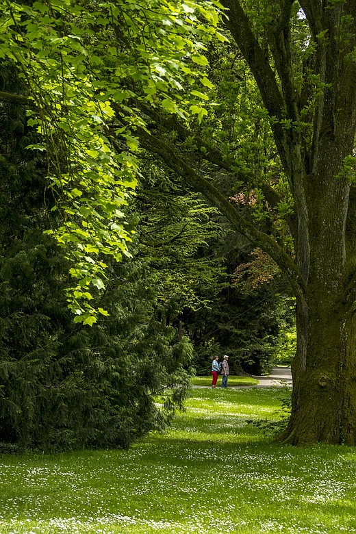 Insel Mainau 02