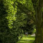 Insel Mainau 02