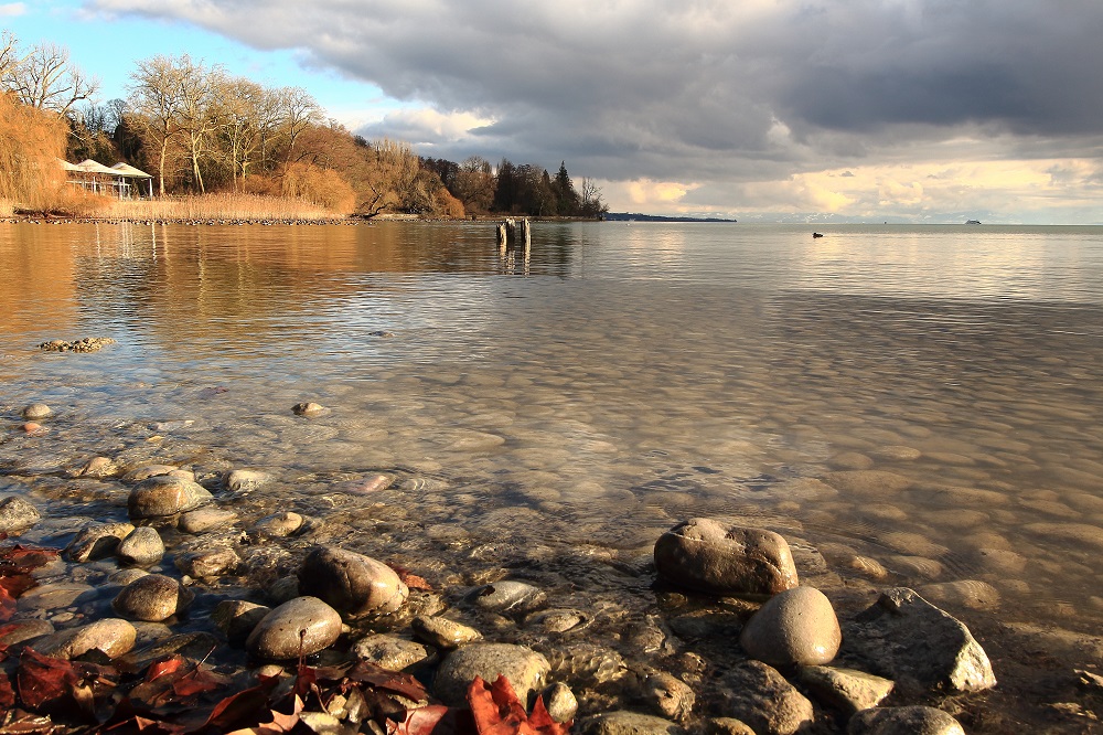 Insel Mainau 04.01.2015