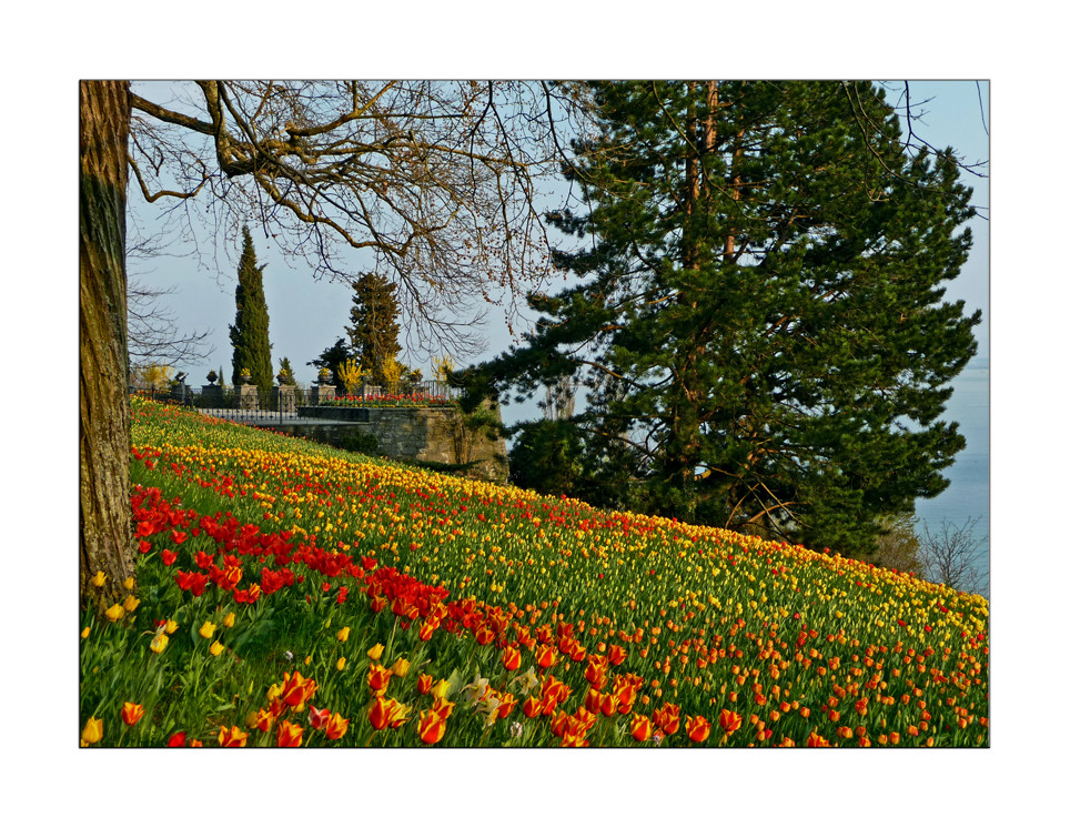 Insel Mainau