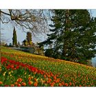 Insel Mainau