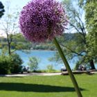 Insel Mainau