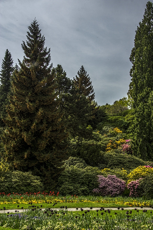 Insel Mainau 08