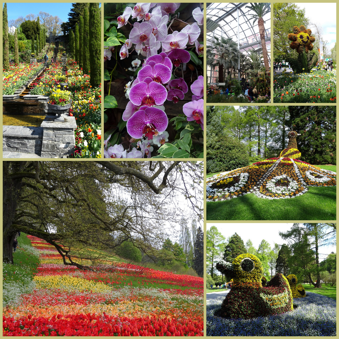 Insel Mainau