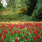 Insel Mainau 1