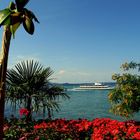 Insel Mainau