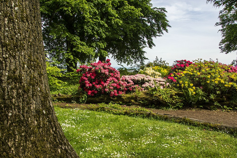 Insel Mainau 13