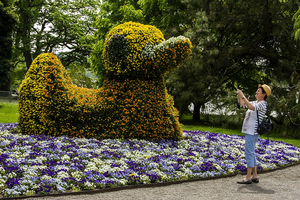 Insel Mainau 18