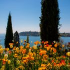 Insel Mainau