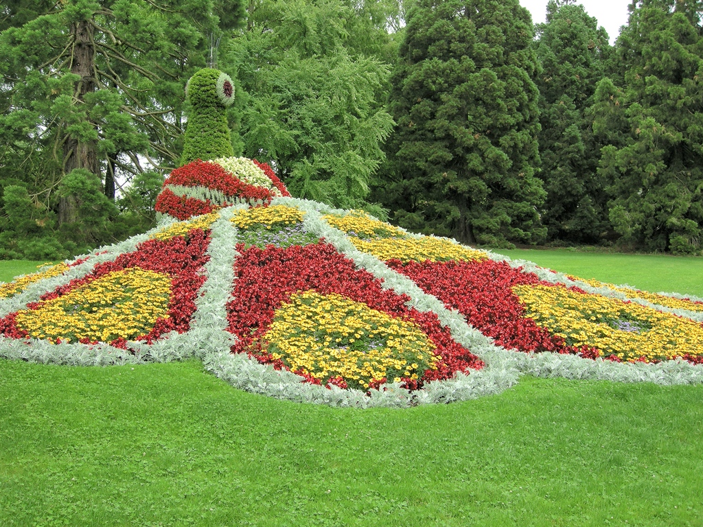 Insel Mainau 2