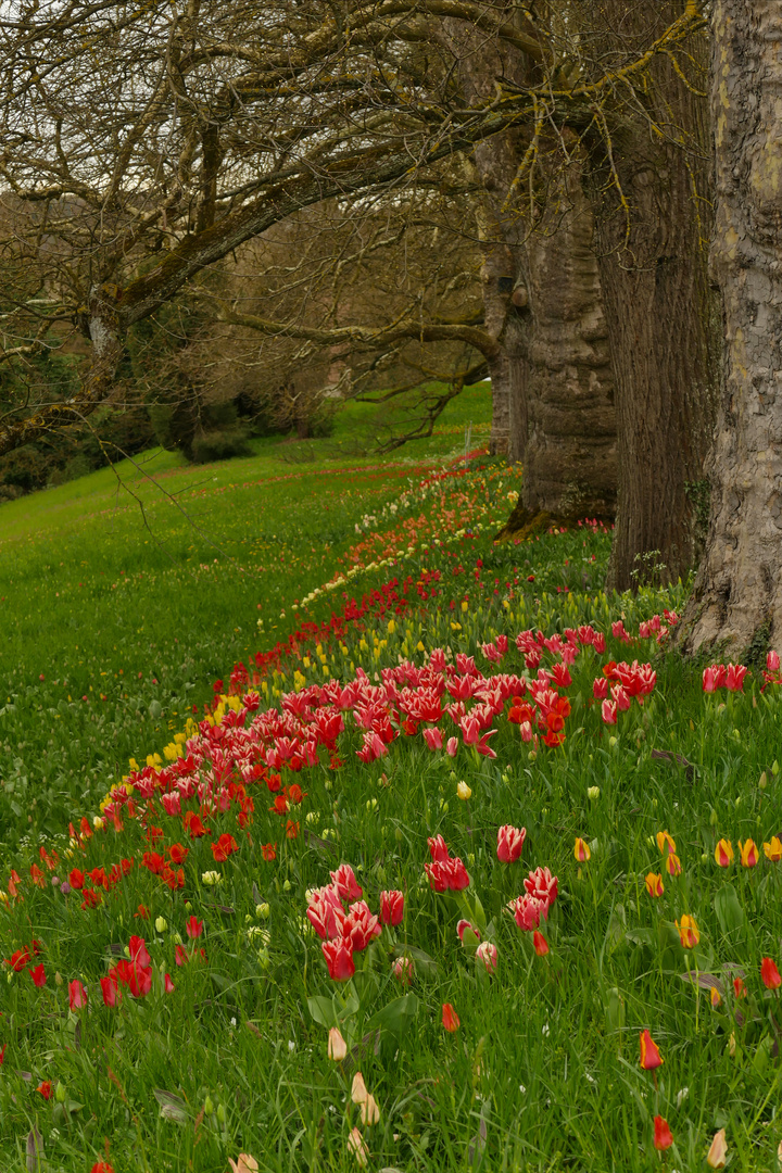 Insel Mainau