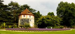 Insel Mainau,